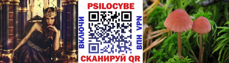 Псилоцибиновые грибы Magic Shrooms Лесозаводск
