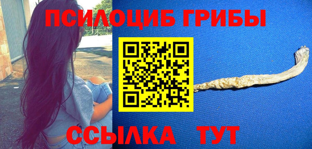 Галлюциногенные грибы GOLDEN TEACHER  наркошоп  Лесозаводск  Вход с VPN 